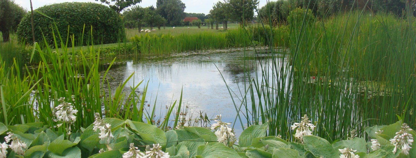 De tuin is een belangrijk verlengstuk van uw persoonlijke leefomgeving.