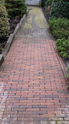 2016-04-06 11.19.57(1)