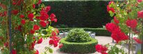 Een tuin moet kunnen bijdragen aan uw welzijn, plezier en ontspanning.